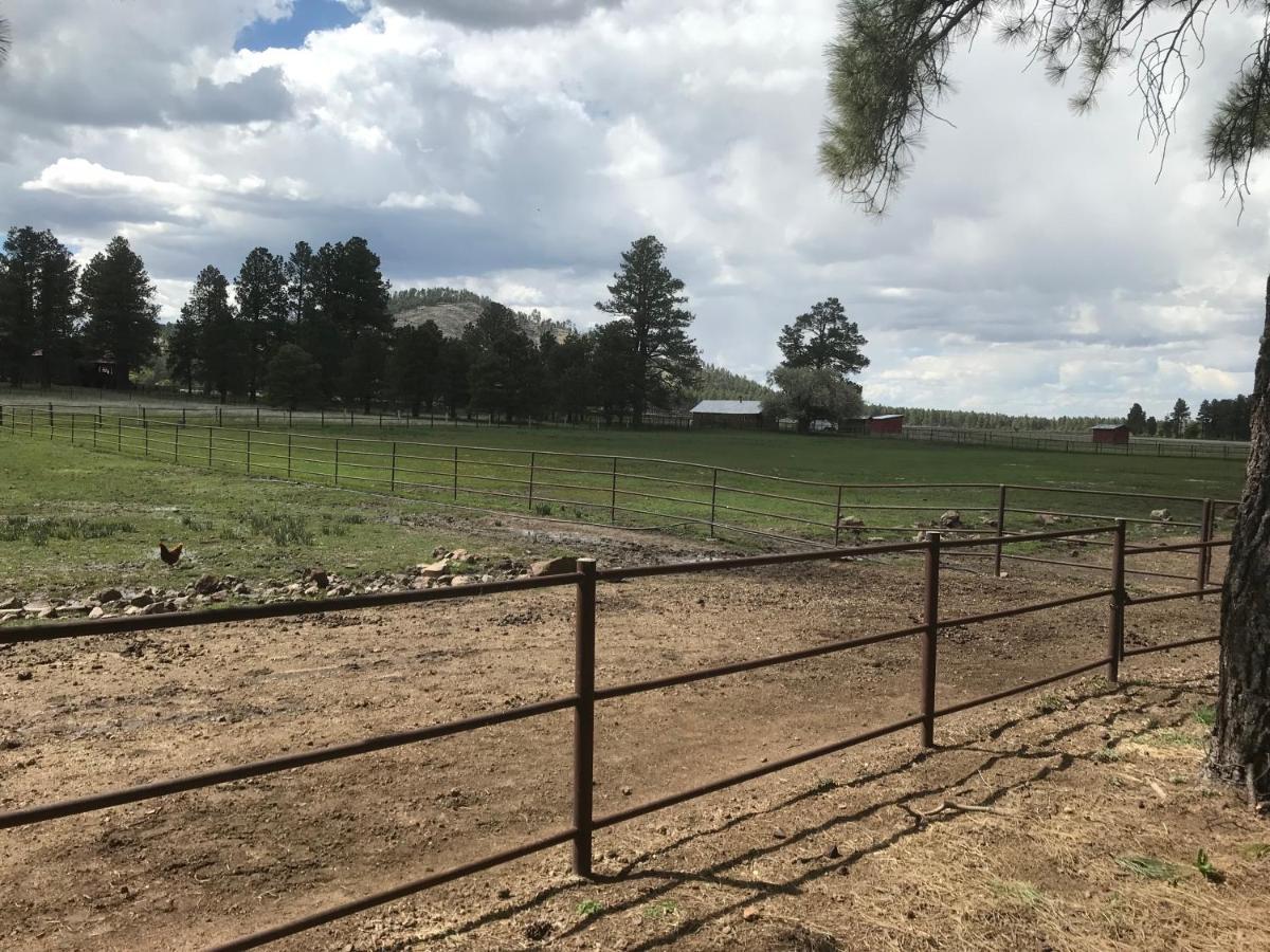 Grand Canyon Cottage At Historic Wrigley Ranch With Horseback Riding & Shooting Parks 外观 照片