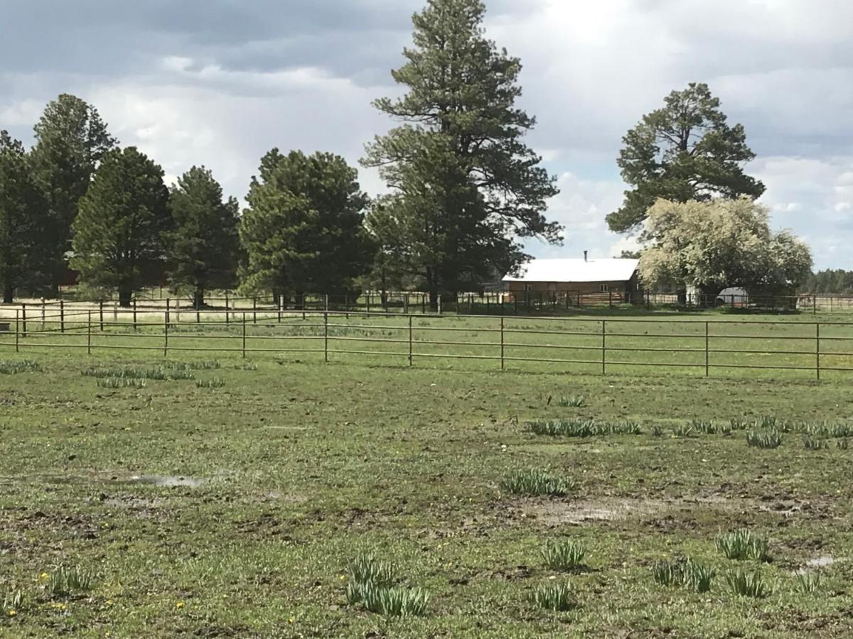 Grand Canyon Cottage At Historic Wrigley Ranch With Horseback Riding & Shooting Parks 外观 照片