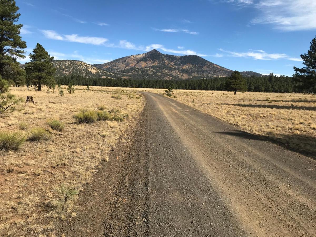 Grand Canyon Cottage At Historic Wrigley Ranch With Horseback Riding & Shooting Parks 外观 照片