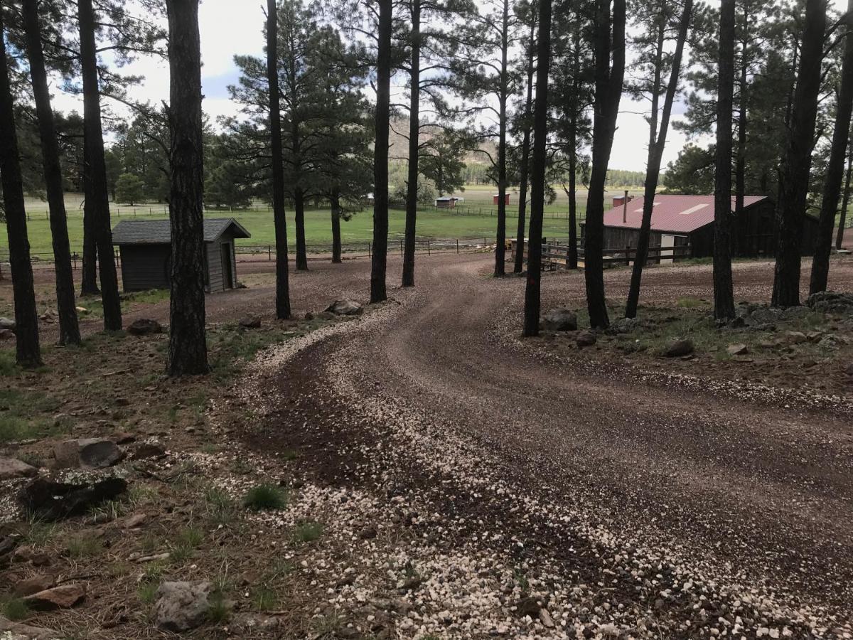 Grand Canyon Cottage At Historic Wrigley Ranch With Horseback Riding & Shooting Parks 外观 照片